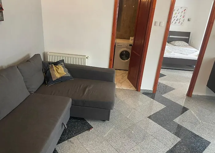 Apartment 1 Bdrm In Center *
